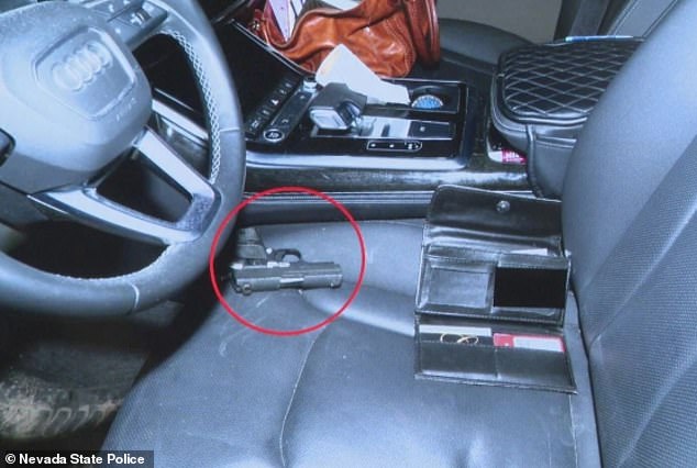 Nevada Traffic Stop Turns Violent as Woman Allegedly Brandishes Gun, Dog Lunges at Officer