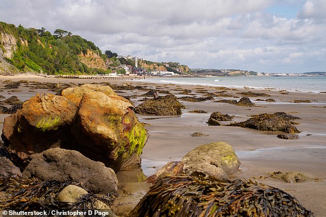 Seaweed's Hidden Health Benefits and Ancient Nutritional Legacy