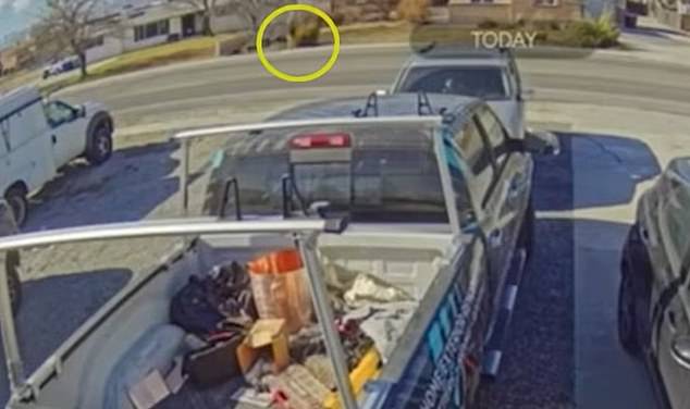 Utah Teen Narrowly Escapes Abduction by Lyft Driver as Mother Exposes Ride-Share Safety Gaps