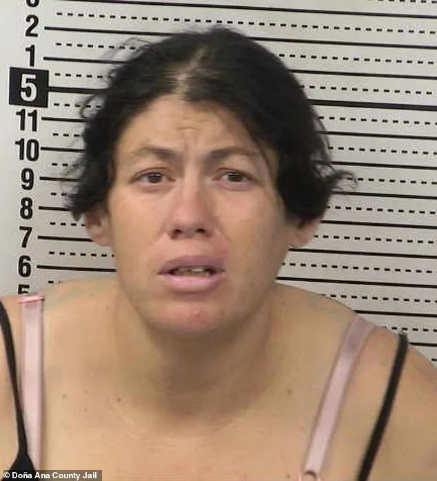 Newborn Found Dead in Toxic Portable Toilet; Mother Charged with Felony Child Abuse