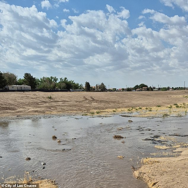 Newborn Found Dead in Toxic Portable Toilet; Mother Charged with Felony Child Abuse