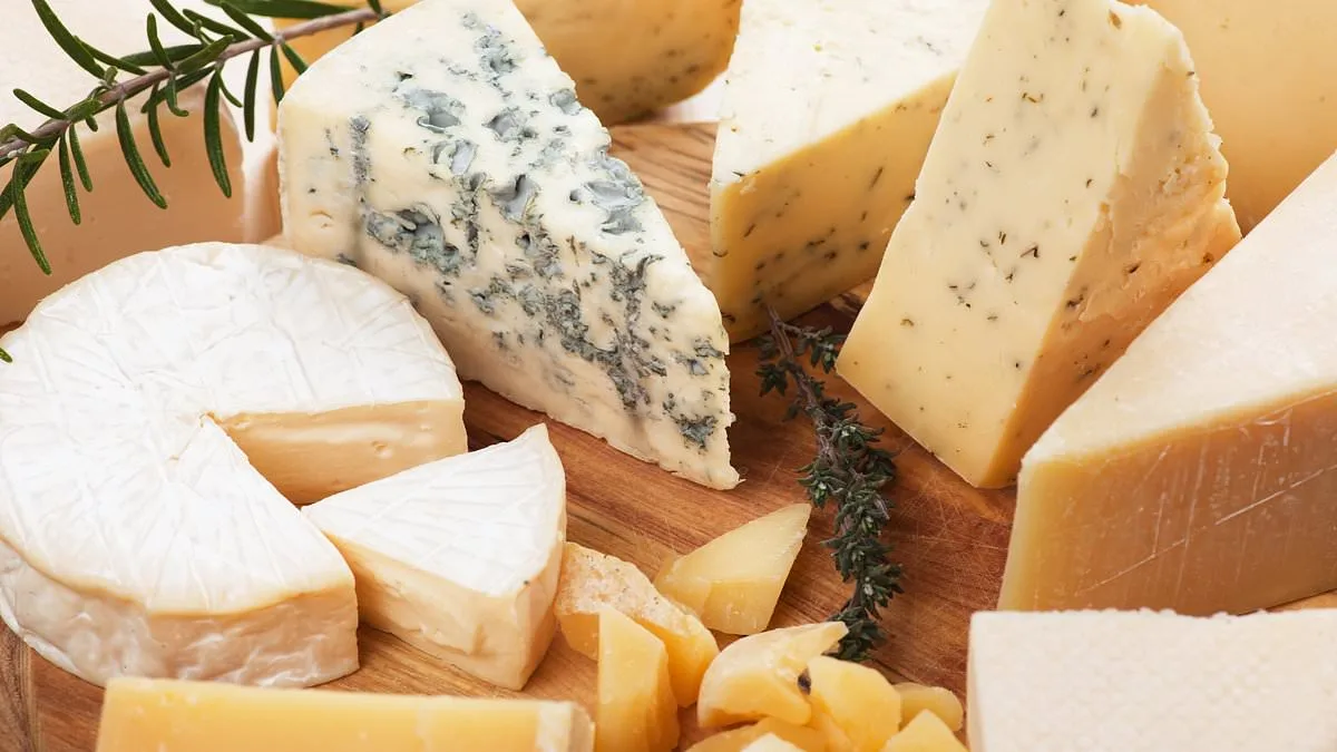 Study Finds Daily Cheese Consumption Linked to 26% Lower Gallstone Risk