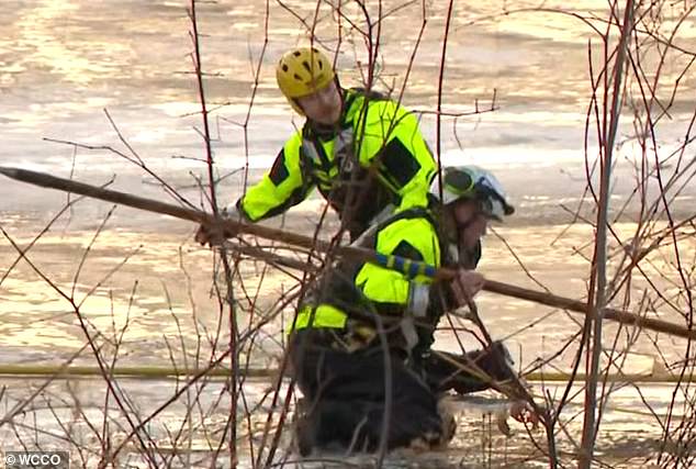 Young Boy Dies After Falling Through Ice at Bass Pond During Unusual Warmth