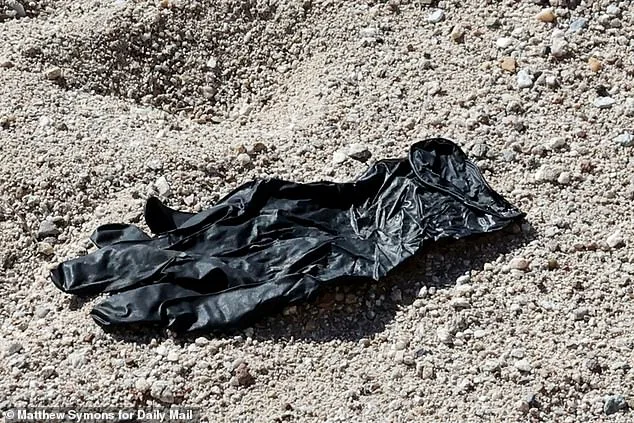 DNA Lab Uses Glove to Hunt for Missing Woman's Abductor