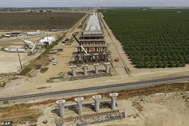 Domestic Battery Arrest of California High-Speed Rail CEO Sparks Scrutiny Over Delayed Project