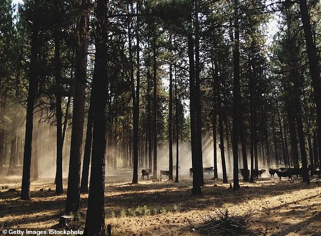 Oregon at a Crossroads: Activists Push Sweeping Ban on Hunting and Fishing as Petition Gains Momentum