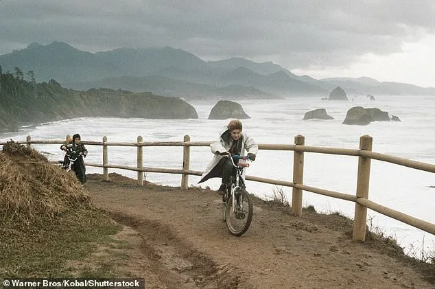 Stranded Sea Lion Pup on Cannon Beach Sparks Wildlife Conservation Message