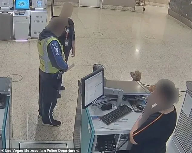 Woman Arrested for Abandoning Puppy at Nevada Airport