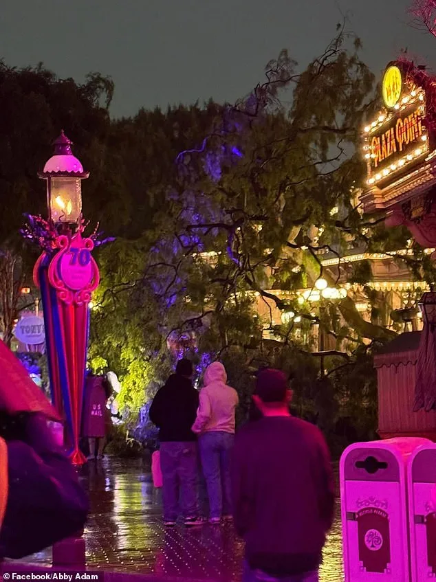 Romantic Evening Turns Perilous at Disneyland as Iconic Ficus Tree Collapses, Sparking Safety Concerns
