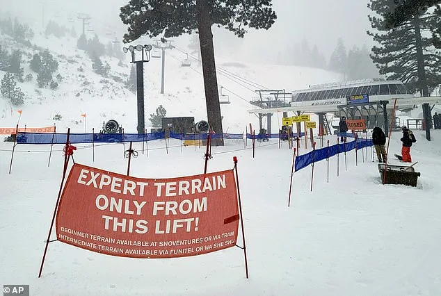 Skier Found Dead in Lake Tahoe Days After Avalanche Buried Eight Mothers