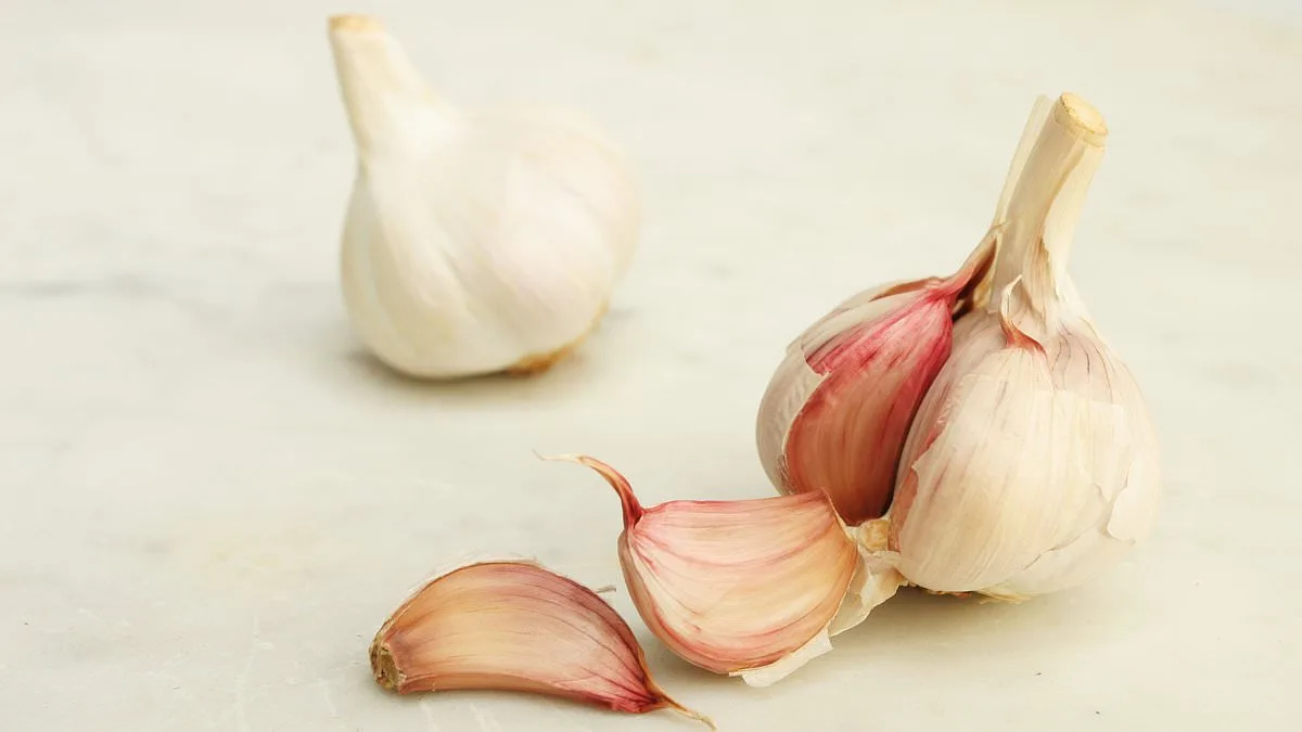 The Power of Plant-Based Diets in Cancer Prevention: Insights from Mediterranean and Asian Traditions