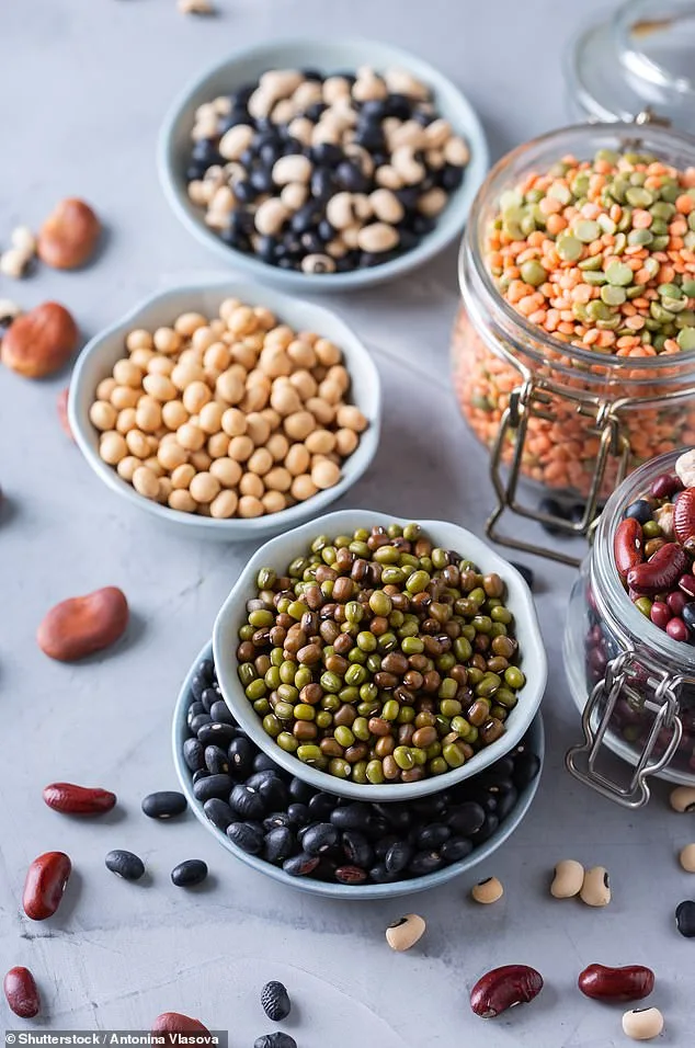 The Power of Plant-Based Diets in Cancer Prevention: Insights from Mediterranean and Asian Traditions