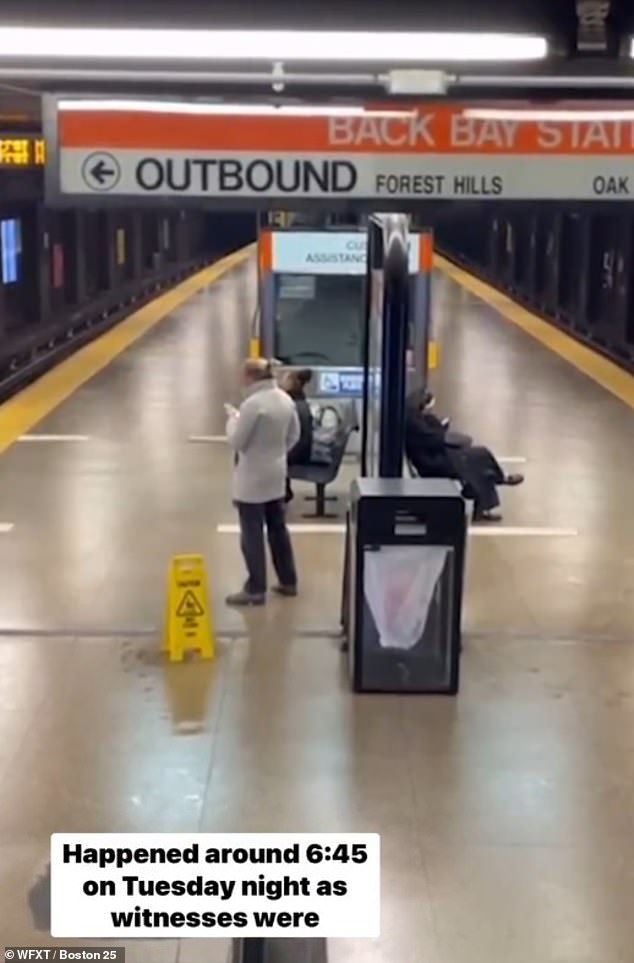 Nurse Faces Backlash for Racial Comments in Boston Train Shoving Case