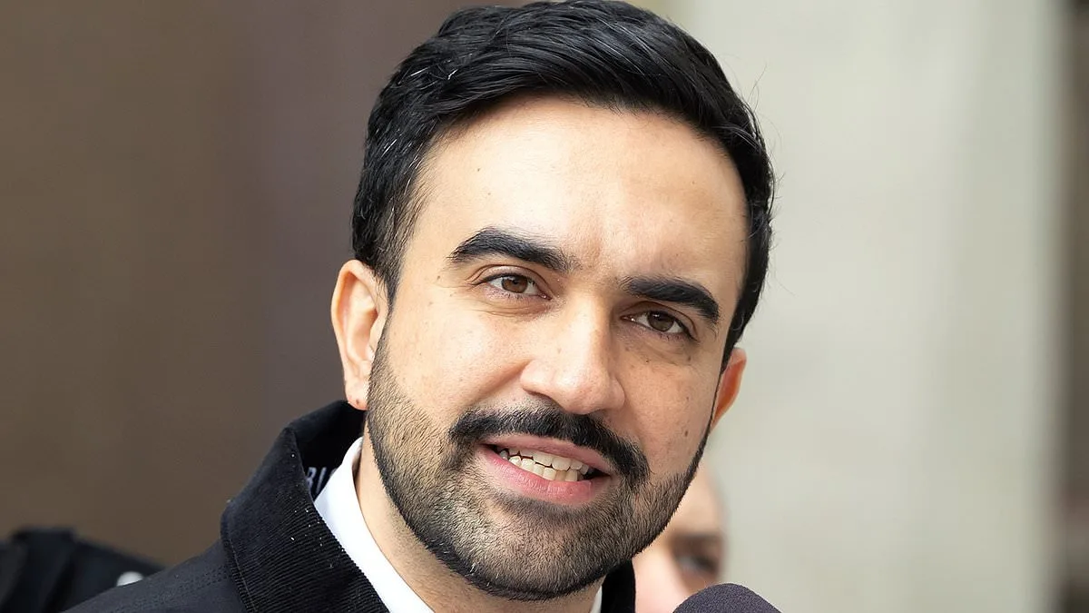 Snow Shoveling Controversy: NYC Mayor's ID Requirement Clashes with DSA Policies