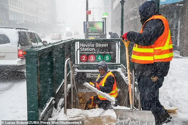Snow Shoveling Controversy: NYC Mayor's ID Requirement Clashes with DSA Policies