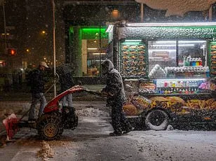 Blizzard Paralyzes East Coast as 99% of New York Flights Cancelled in Aviation Crisis