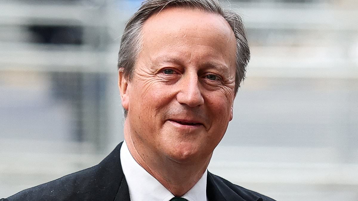 Thousands of UK Men With Prostate Cancer Denied Focal Therapy as NHS Fails to Offer Minimally Invasive Option