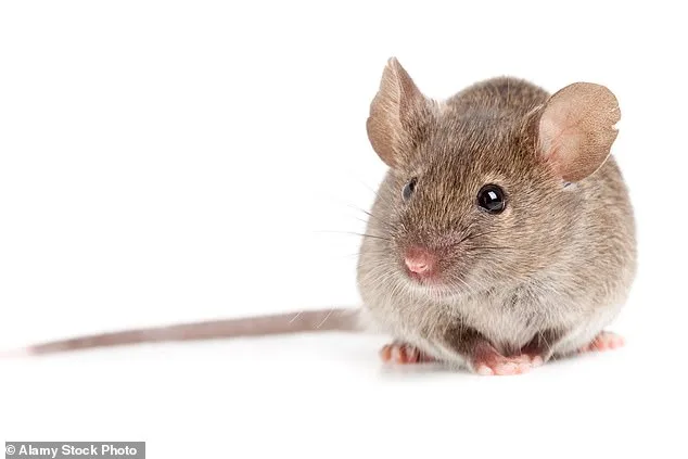 Cancer Survivors' Lower Dementia Risk Linked to Protein Discovered in Groundbreaking Study