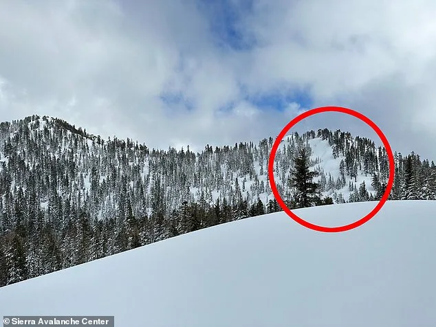 Images Reveal Devastating Avalanche at Castle Peak, Lake Tahoe: Nine Lives Lost