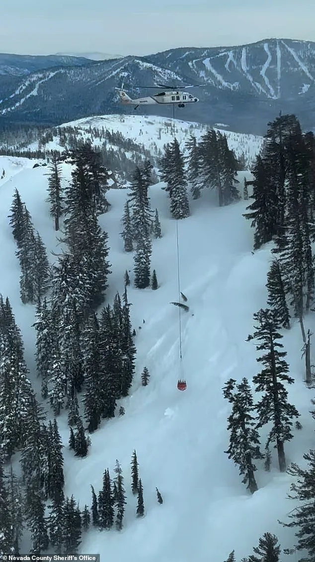 Images Reveal Devastating Avalanche at Castle Peak, Lake Tahoe: Nine Lives Lost