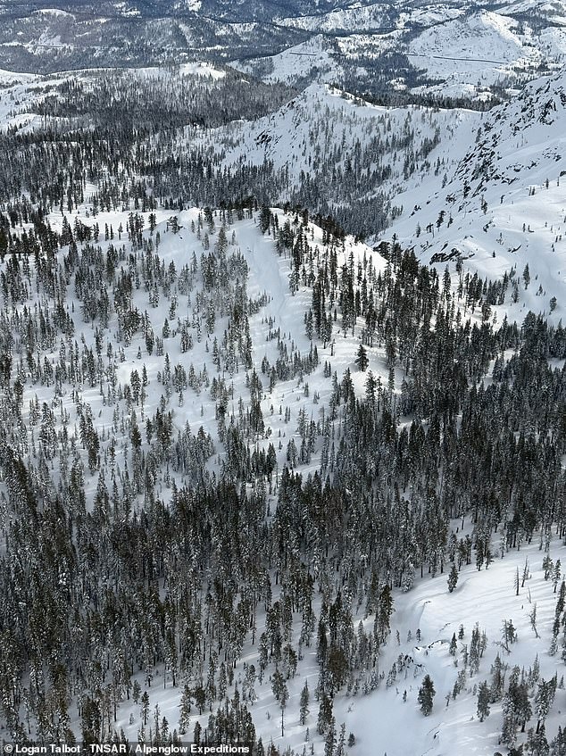 Images Reveal Devastating Avalanche at Castle Peak, Lake Tahoe: Nine Lives Lost