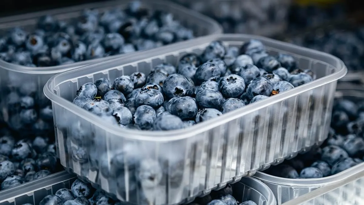 Life-Threatening Blueberry Recall Upgraded to FDA's Highest Risk Level