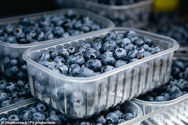 Life-Threatening Blueberry Recall Upgraded to FDA's Highest Risk Level