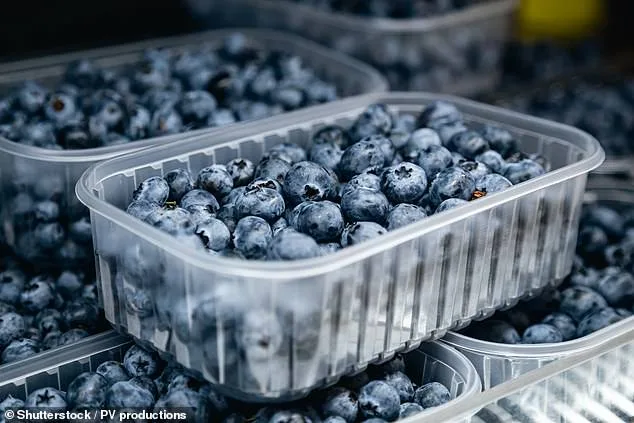 Life-Threatening Blueberry Recall Upgraded to FDA's Highest Risk Level