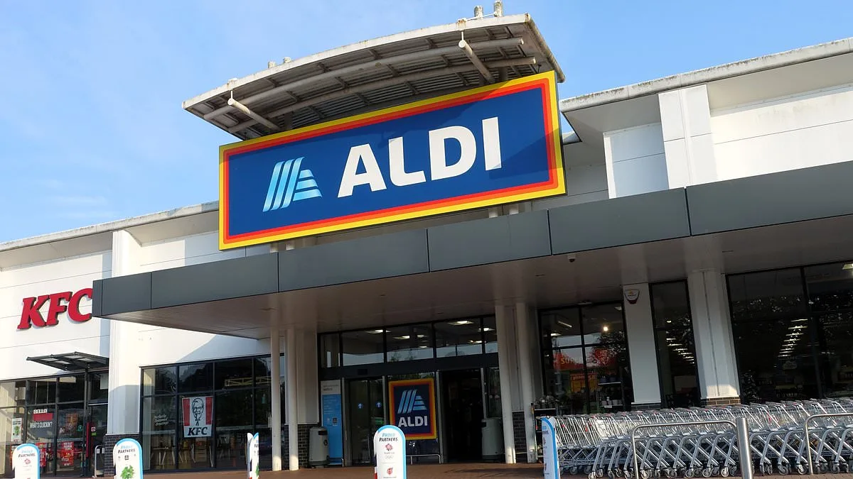 Massive Recall of Aldi Meatballs After Metal Fragments Found in Packages