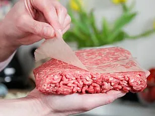 Massive Recall of Aldi Meatballs After Metal Fragments Found in Packages