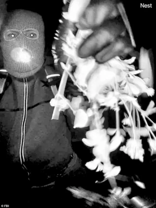 New Footage in Nancy Guthrie Case Reveals Suspect's Unusual Behavior Before Abduction