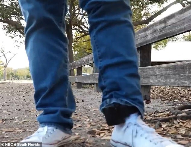 Work Permit and Tax History Not Enough: IT Specialist Detained by CBP