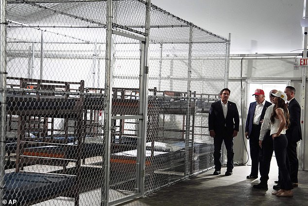 Work Permit and Tax History Not Enough: IT Specialist Detained by CBP