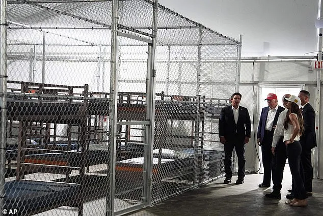 Work Permit and Tax History Not Enough: IT Specialist Detained by CBP