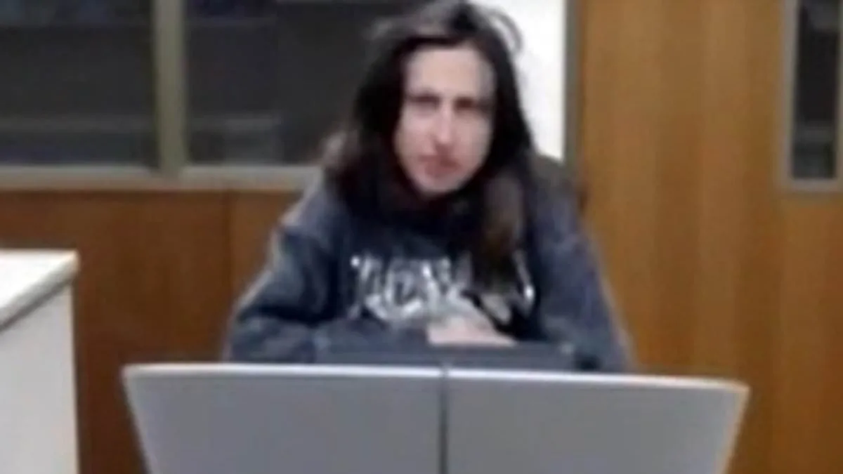 23-Year-Old Woman Accused of Kidnapping 2-Year-Old Claims Child is Her 'Long-Lost' Daughter