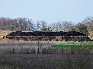 Waitrose Drivers 'Pull Straws' to Deliver to Royal Home Amid Staff Discomfort