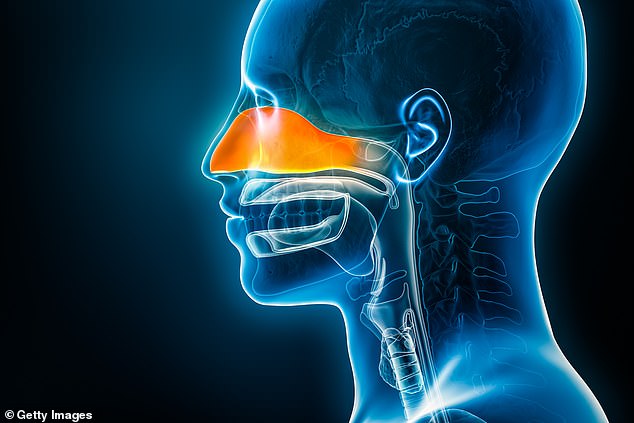 The Hidden Crisis of Anosmia: How a Silent Loss Can Transform Taste and Smell