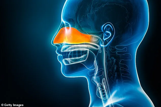 The Hidden Crisis of Anosmia: How a Silent Loss Can Transform Taste and Smell