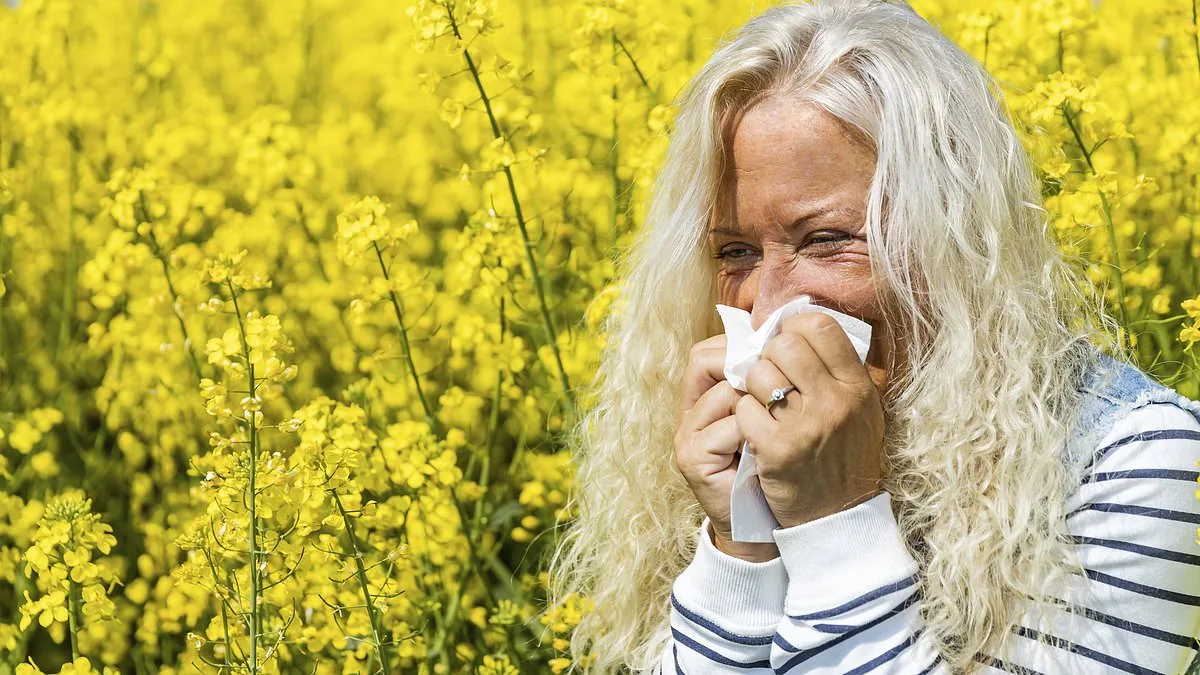 Hay Fever Sufferers Urged to Act Early as Pollen Season Looms, Pharmacist Warns