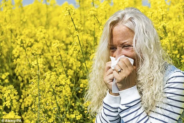 Hay Fever Sufferers Urged to Act Early as Pollen Season Looms, Pharmacist Warns