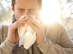 Hay Fever Sufferers Urged to Act Early as Pollen Season Looms, Pharmacist Warns