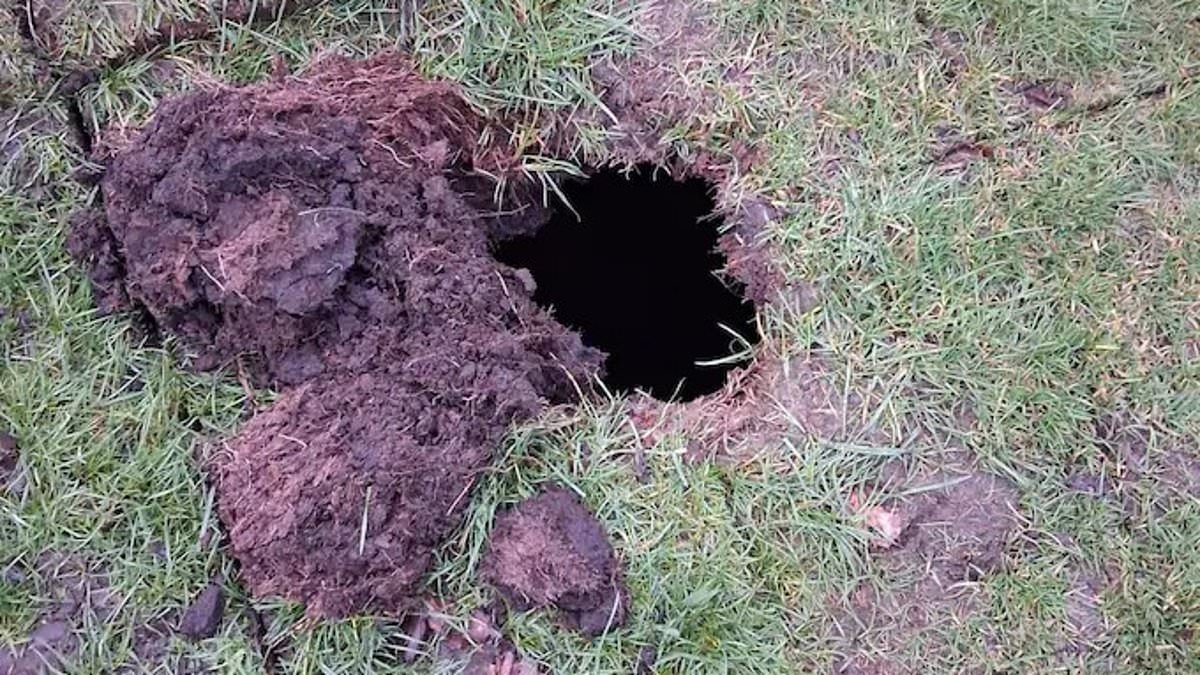 Hidden 19th-Century Wine Cellar Unearthed Beneath Davyhulme Park Golf Course, Sparking Curiosity