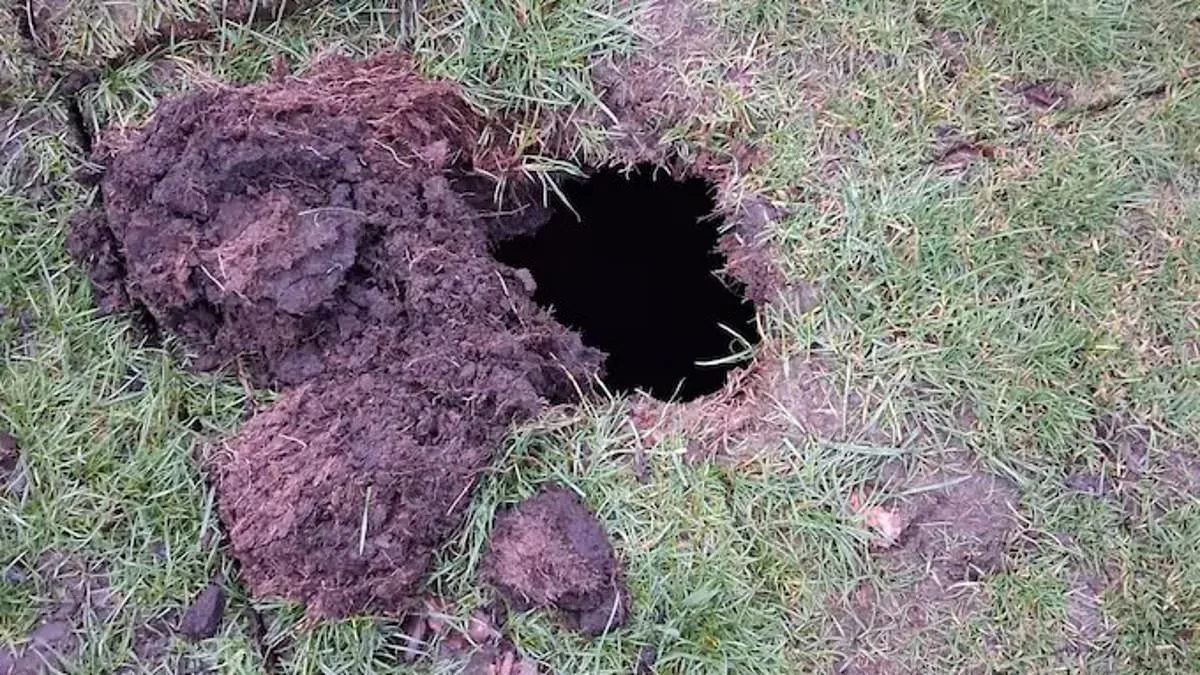 Hidden 19th-Century Wine Cellar Unearthed Beneath Davyhulme Park Golf Course, Sparking Curiosity