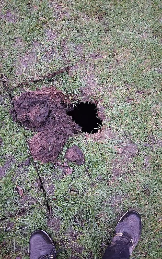 Hidden 19th-Century Wine Cellar Unearthed Beneath Davyhulme Park Golf Course, Sparking Curiosity