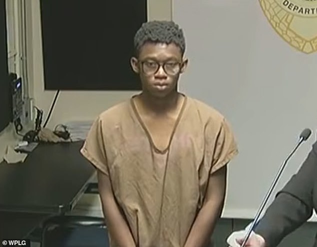 Three Boys Charged with Rape After Forcing 12-Year-Old to Swallow Rocks in Miami