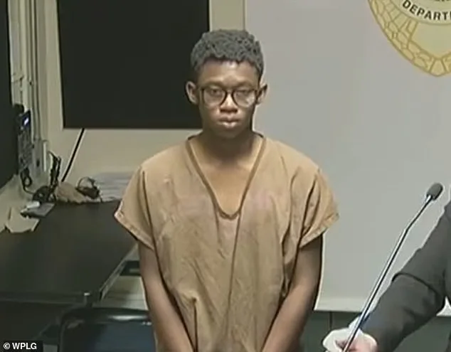 Three Boys Charged with Rape After Forcing 12-Year-Old to Swallow Rocks in Miami