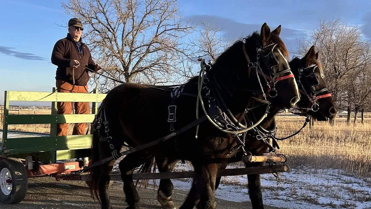 McDonald's Makes Exception for Wyoming Farmer's Horse-Drawn Drive-Thru, Sparking Rural Policy Shift