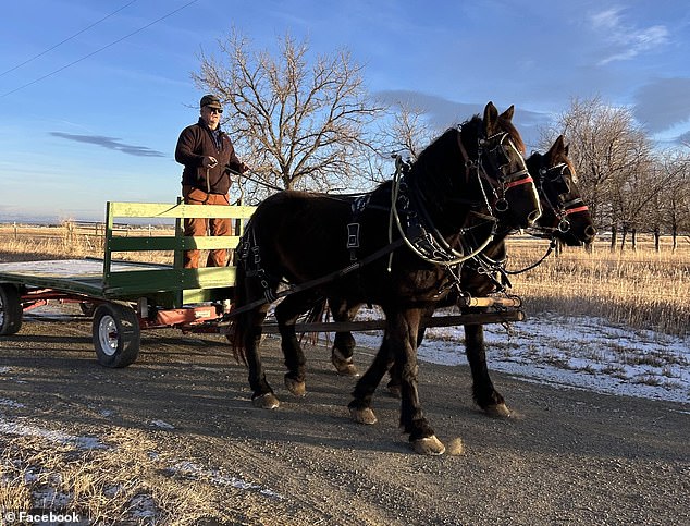 McDonald's Makes Exception for Wyoming Farmer's Horse-Drawn Drive-Thru, Sparking Rural Policy Shift
