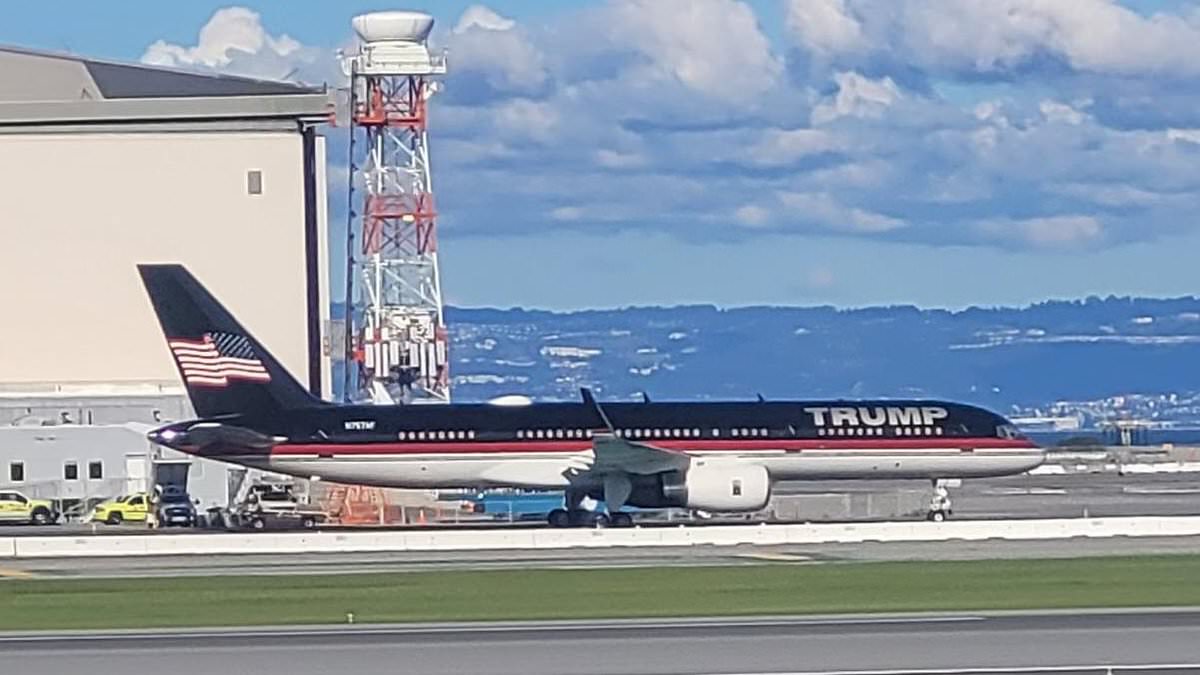 San Francisco Residents Condemn Trump Jet as Affront to City's Values