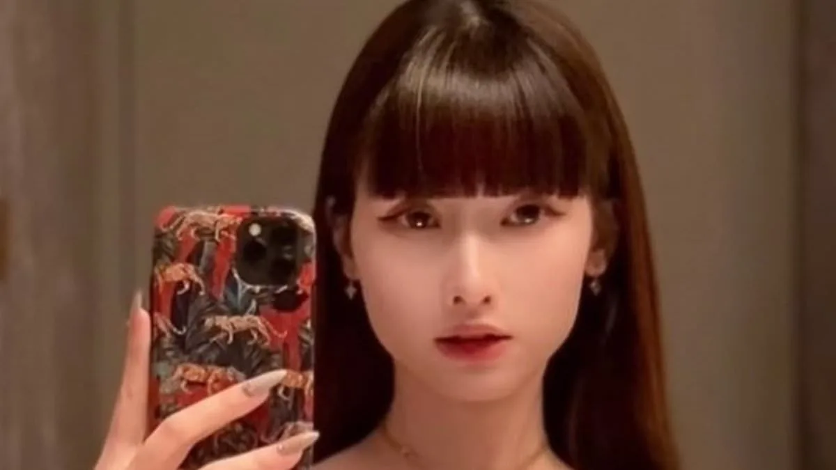 Legal Scrutiny of Dine-and-Dash Suspect Highlights Mental Health and Immigration Complexities